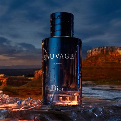 dior sauvage parfum prix